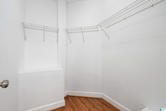 spacious closet with hardwood / wood-style flooring