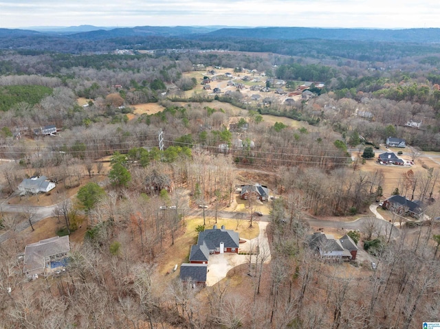 drone / aerial view featuring a mountain view