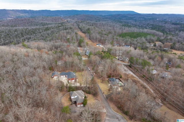 aerial view with a mountain view