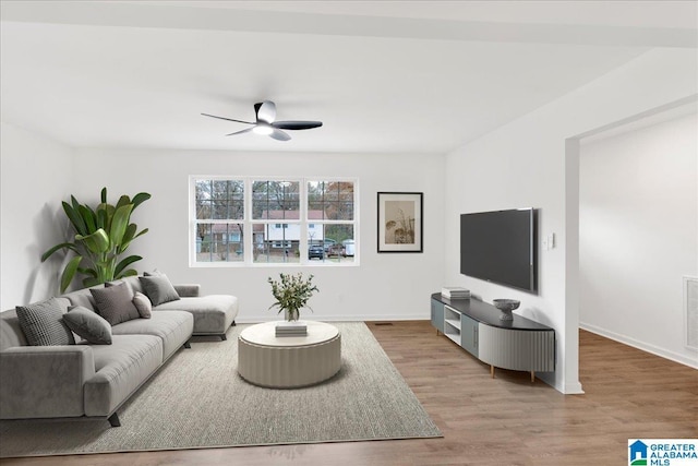 living room with ceiling fan and hardwood / wood-style floors