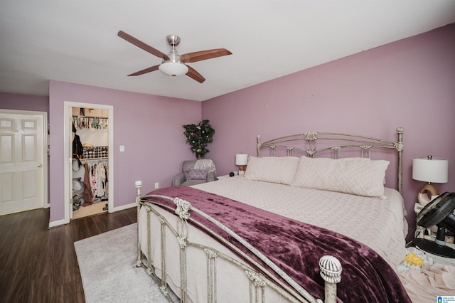 bedroom featuring ceiling fan, dark hardwood / wood-style flooring, a walk in closet, and a closet