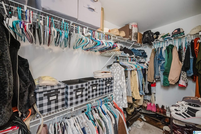 walk in closet featuring carpet floors