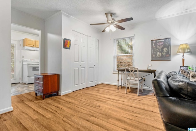 office space with ceiling fan, light hardwood / wood-style floors, a textured ceiling, and ornamental molding