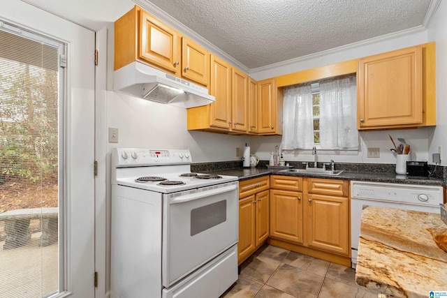 kitchen featuring white appliances, sink, ornamental molding, a textured ceiling, and plenty of natural light