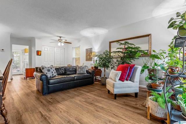 living room featuring ceiling fan, wood-type flooring, and a textured ceiling