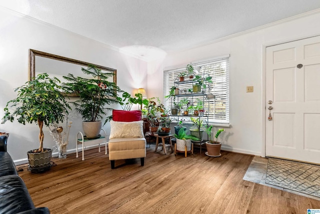 living area with hardwood / wood-style floors, crown molding, and a textured ceiling