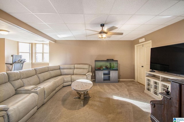 living room with carpet, a drop ceiling, and ceiling fan