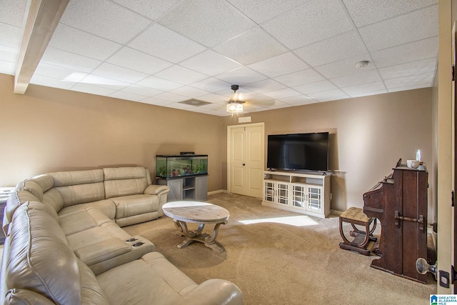 carpeted living room with beamed ceiling, a drop ceiling, and ceiling fan