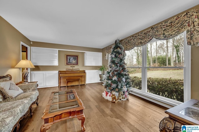 living room with hardwood / wood-style flooring