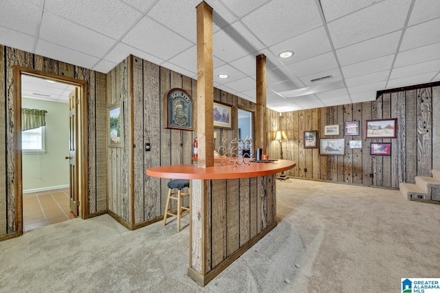 bar featuring light carpet, a drop ceiling, and wood walls