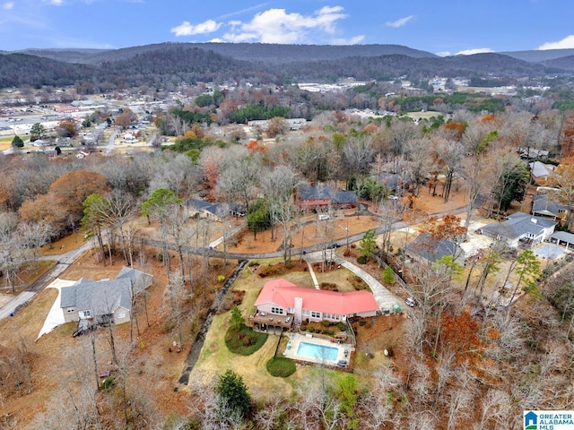 birds eye view of property with a mountain view