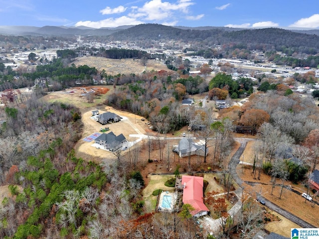 bird's eye view featuring a mountain view