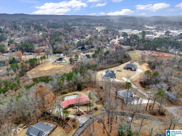 drone / aerial view featuring a mountain view