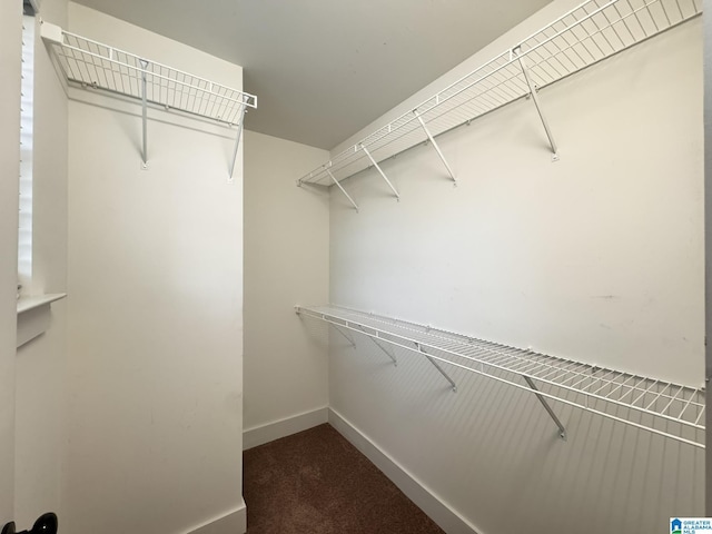 spacious closet with dark carpet