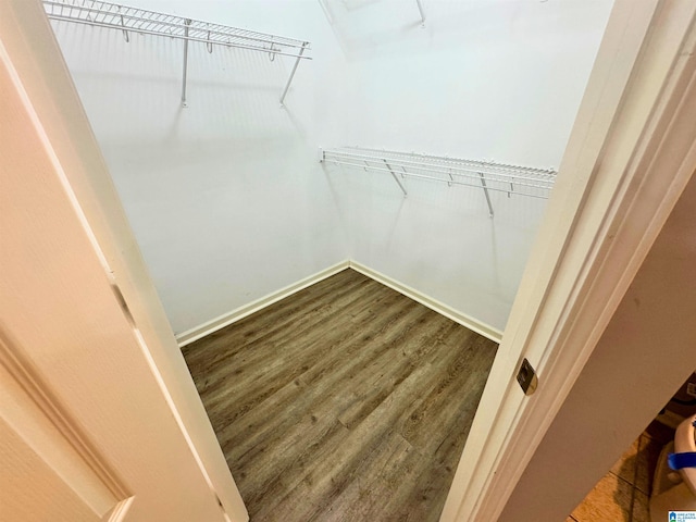 spacious closet featuring dark hardwood / wood-style flooring