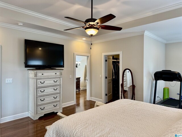 bedroom with ceiling fan, dark wood-type flooring, a walk in closet, a closet, and ornamental molding