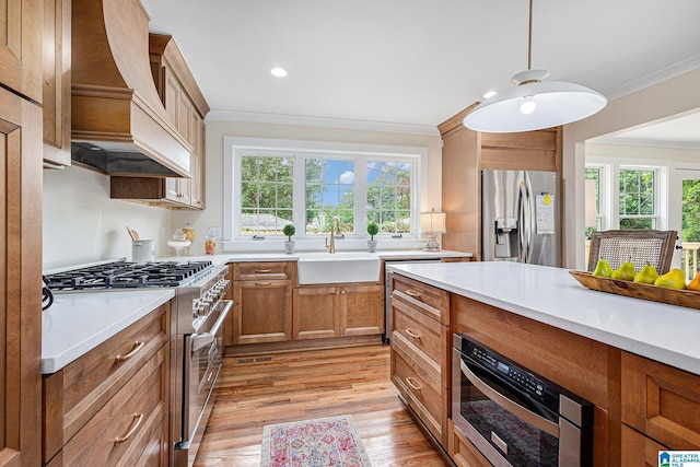 kitchen with custom exhaust hood, sink, light wood-type flooring, decorative light fixtures, and stainless steel appliances