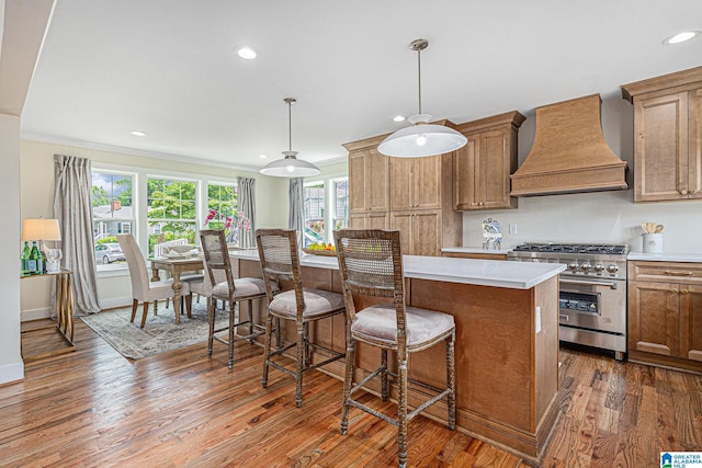 kitchen with a center island, premium range hood, high end stainless steel range, dark hardwood / wood-style floors, and decorative light fixtures