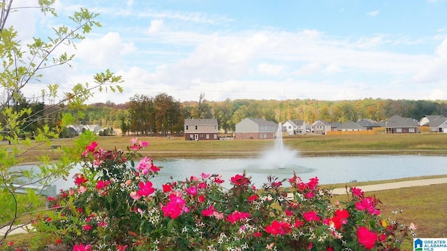 view of water feature