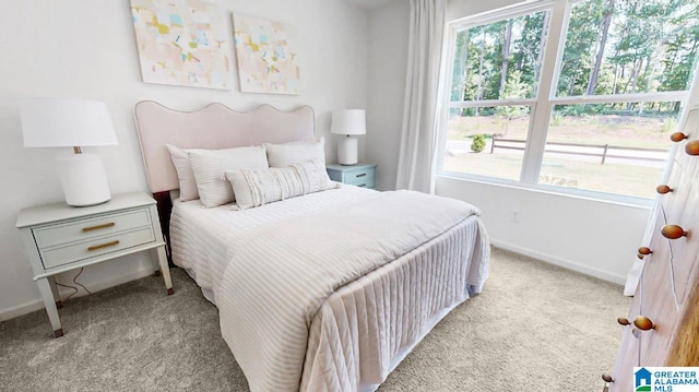 carpeted bedroom with multiple windows