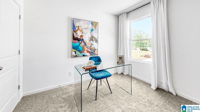 carpeted home office featuring a wealth of natural light