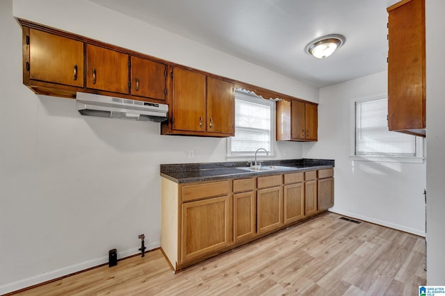 kitchen featuring sink and light hardwood / wood-style flooring