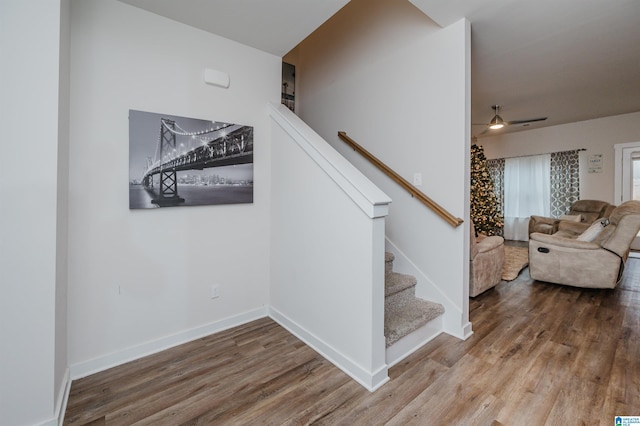 stairs featuring hardwood / wood-style flooring and ceiling fan