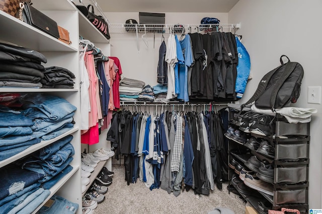 spacious closet featuring carpet flooring