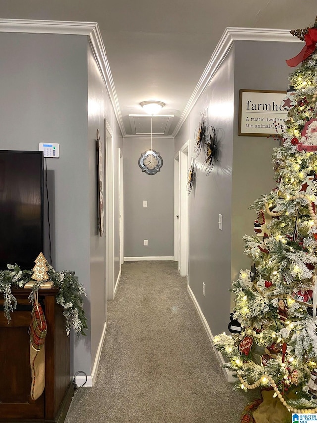 corridor featuring carpet flooring and ornamental molding