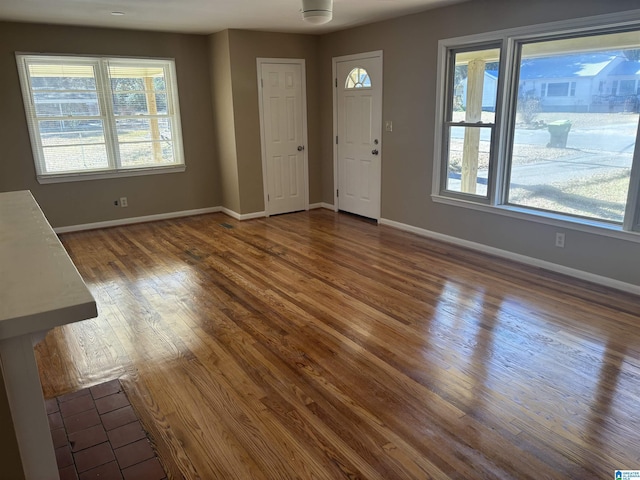 entrance foyer featuring dark hardwood / wood-style flooring and plenty of natural light