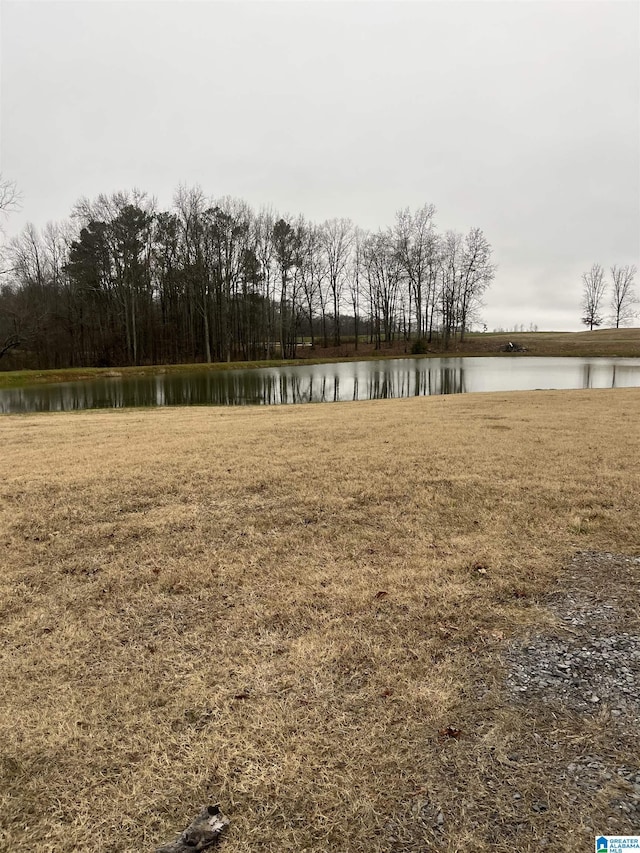 view of yard featuring a water view