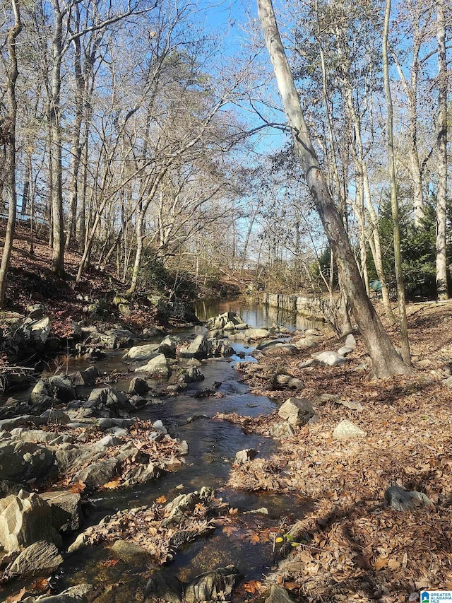 view of local wilderness