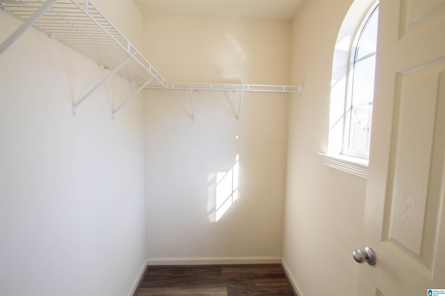 spacious closet with dark hardwood / wood-style floors