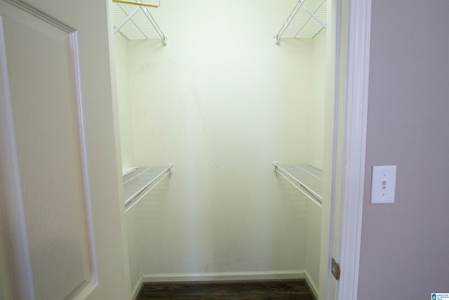 walk in closet with dark wood-type flooring