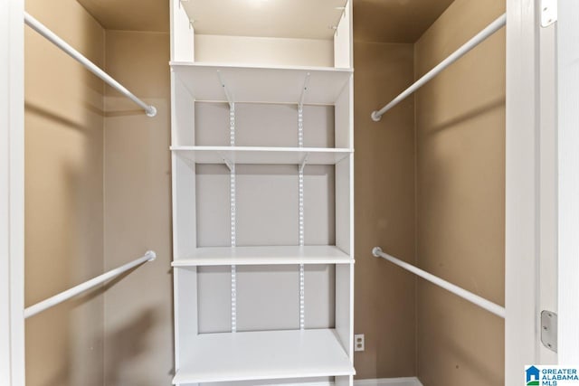 view of walk in closet