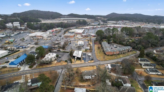 bird's eye view featuring a mountain view