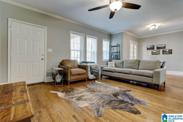 living room featuring ceiling fan, wood-type flooring, and crown molding