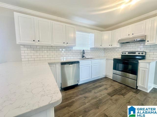 kitchen featuring sink, dark hardwood / wood-style flooring, crown molding, white cabinets, and appliances with stainless steel finishes