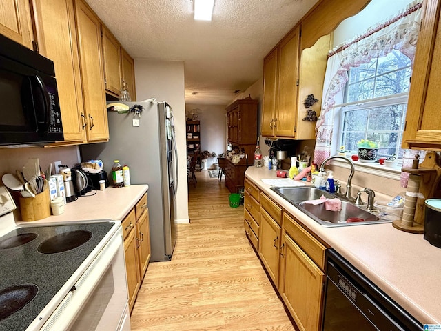 kitchen featuring light wood-type flooring, a textured ceiling, sink, and black appliances