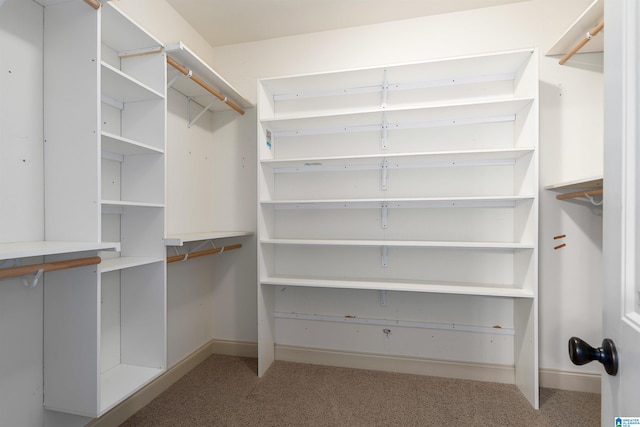 walk in closet featuring light colored carpet