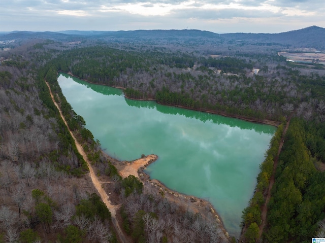 bird's eye view with a water and mountain view