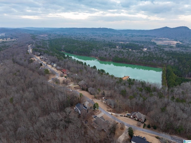 bird's eye view featuring a water and mountain view