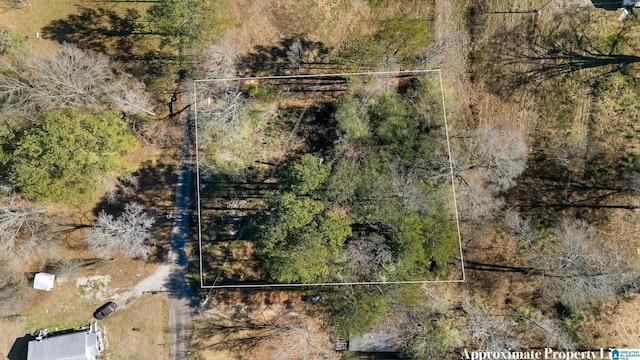 4021 Dusty Ln Unit 0, Bessemer AL, 35022 land for sale