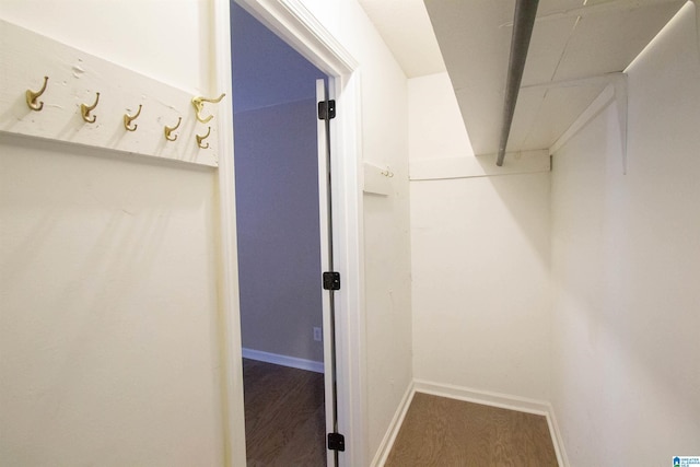 walk in closet with hardwood / wood-style flooring