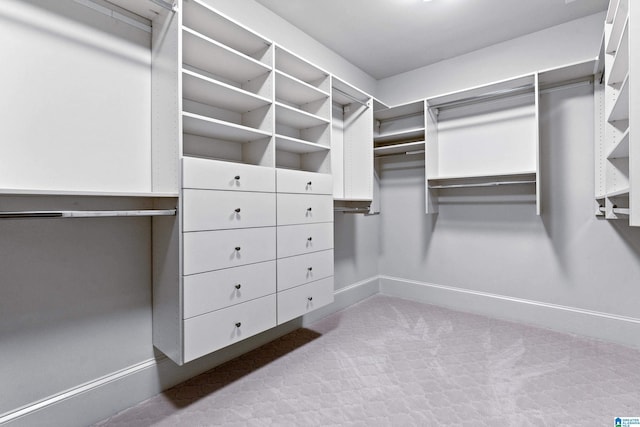 spacious closet with light colored carpet