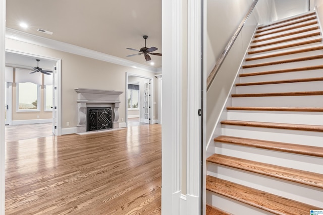 stairs with hardwood / wood-style floors, ceiling fan, and crown molding