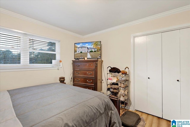 bedroom with light hardwood / wood-style floors, a closet, and ornamental molding