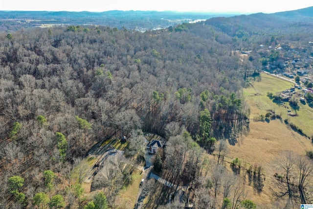 bird's eye view featuring a mountain view