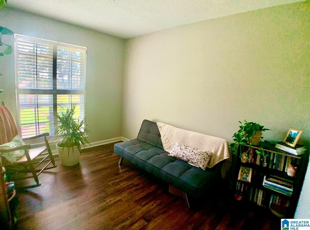 sitting room featuring dark hardwood / wood-style floors