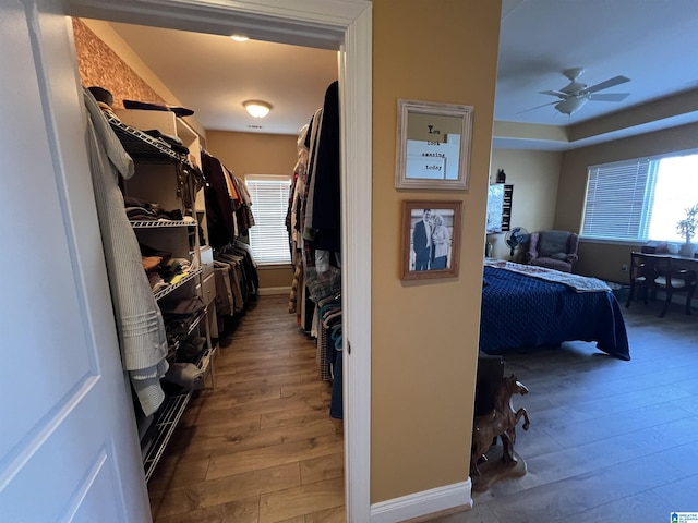 walk in closet with hardwood / wood-style floors and ceiling fan